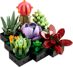 Lego, Set, Opened, Succulents, 10309