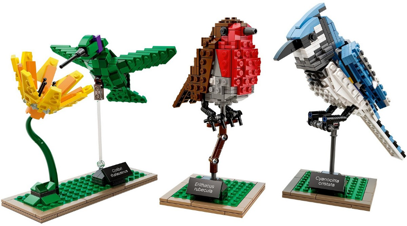 Lego, Set Sealed, Ideas, Birds, 21301
