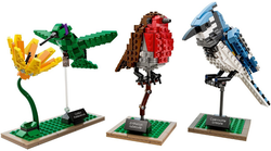 Lego, Set Sealed, Ideas, Birds, 21301