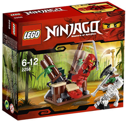 LEGO, Set, Opened, Ninjago, The Golden Weapons, Ninja Ambush, 2258