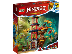 Lego, Set, Sealed Product, Ninjago, Temple of the Dragon Energy Cores, 71795