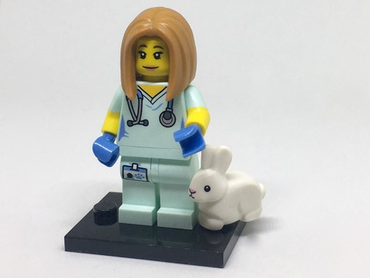 Lego, Minifigure, Collectible Series 17, Veterinarian, col17-5