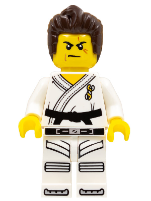 Lego, Minifigure, Warrior, Male, Karate Dress with Black Belt, Dark Brown Hair, Scarred Eye, COL262