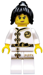 Lego, Minifigure, The LEGO Ninjago Movie, Spinjitzu Training Nya, coltlnm02