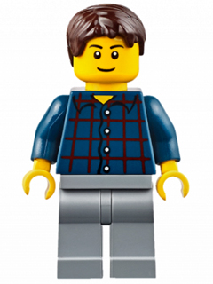 Lego, Minifigure, City, Plaid Button Shirt, Light Bluish Gray Legs, Dark Brown Short Tousled Hair, CTY0625