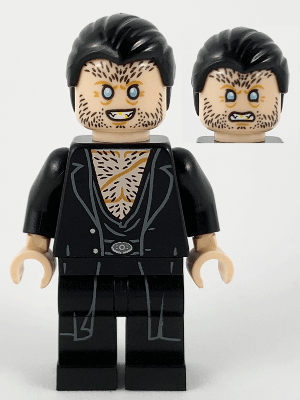 Lego, Harry Potter, Fenrir Greyback, Black Hair, HP209